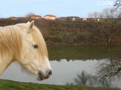 picture of Centre de vacances Le Moulin du roy