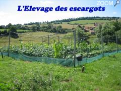 picture of L'Escargot Brionnais