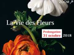 picture of EXPOSITION : La Vie des Fleurs