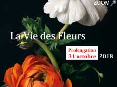 фотография de EXPOSITION : La Vie des Fleurs