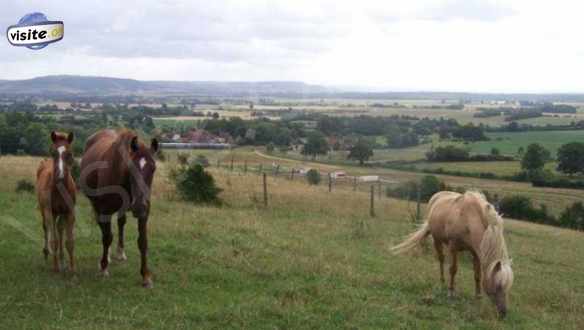 Fermer la fenêtre