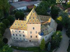 photo de CHATEAU DE SANTENAY