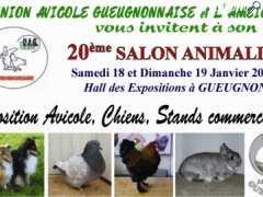 photo de Salon animalier