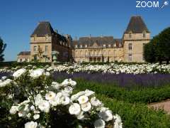 Foto Château de Drée 